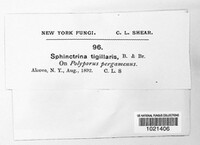 Image Associated With the Occurence